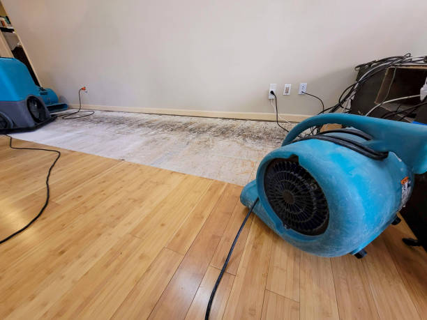 Professional Water Removal technician working in Rouseville, PA